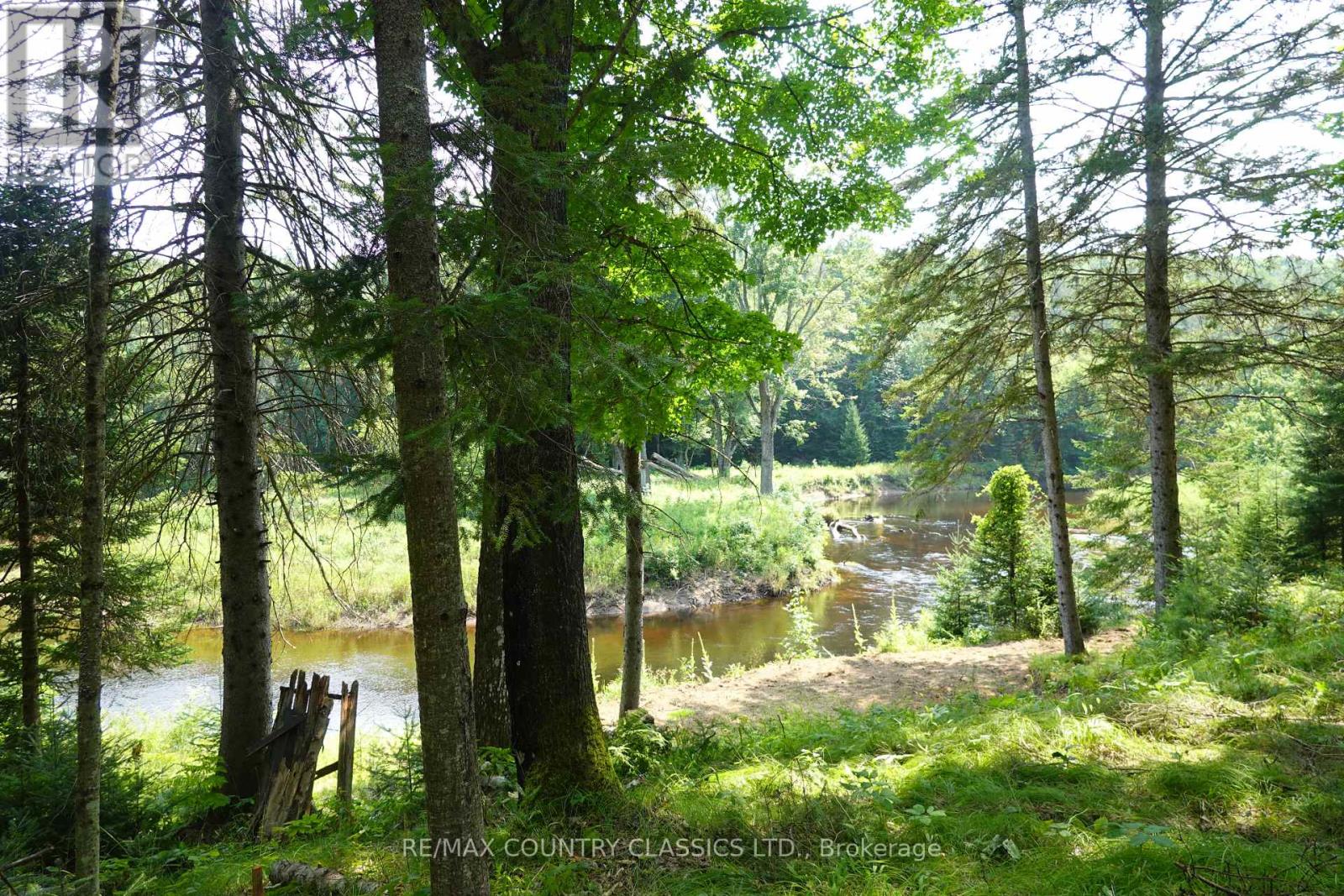 739b Bronson Road, Bancroft (Dungannon Ward), Ontario  K0L 1C0 - Photo 9 - X12308360
