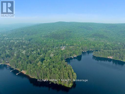 1006 Jasmine Road, Dysart Et Al (Harcourt), Ontario  K0L 1M1 - Photo 46 - X12308726