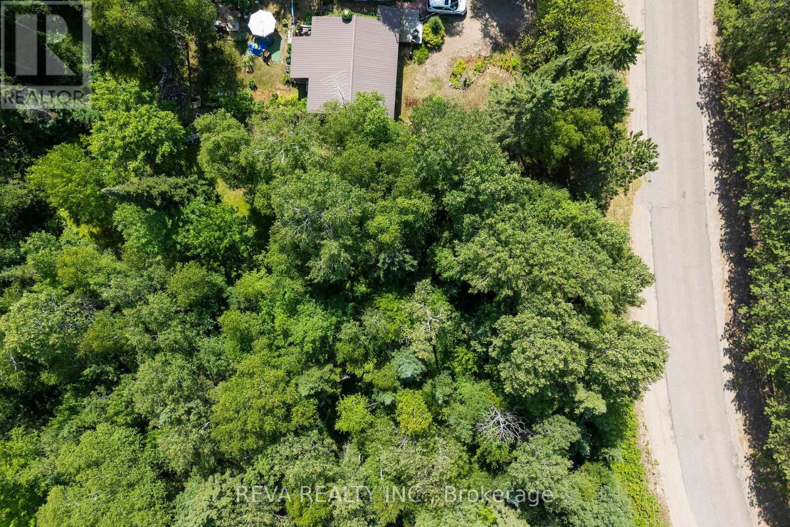 0 Lake St. Peter Road, Hastings Highlands (Mcclure Ward), Ontario  K0L 2K0 - Photo 4 - X12311177