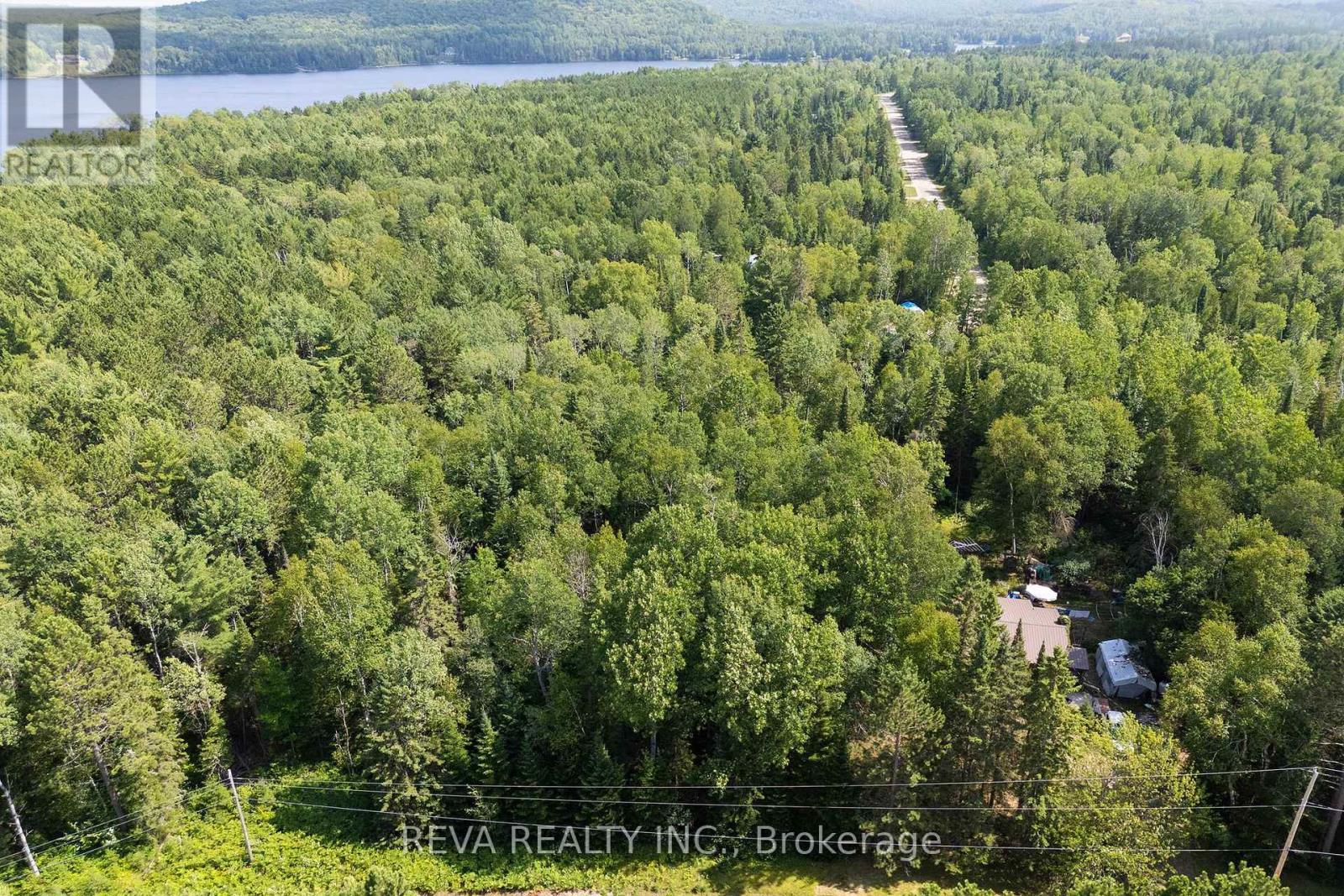 0 Lake St. Peter Road, Hastings Highlands (Mcclure Ward), Ontario  K0L 2K0 - Photo 8 - X12311177