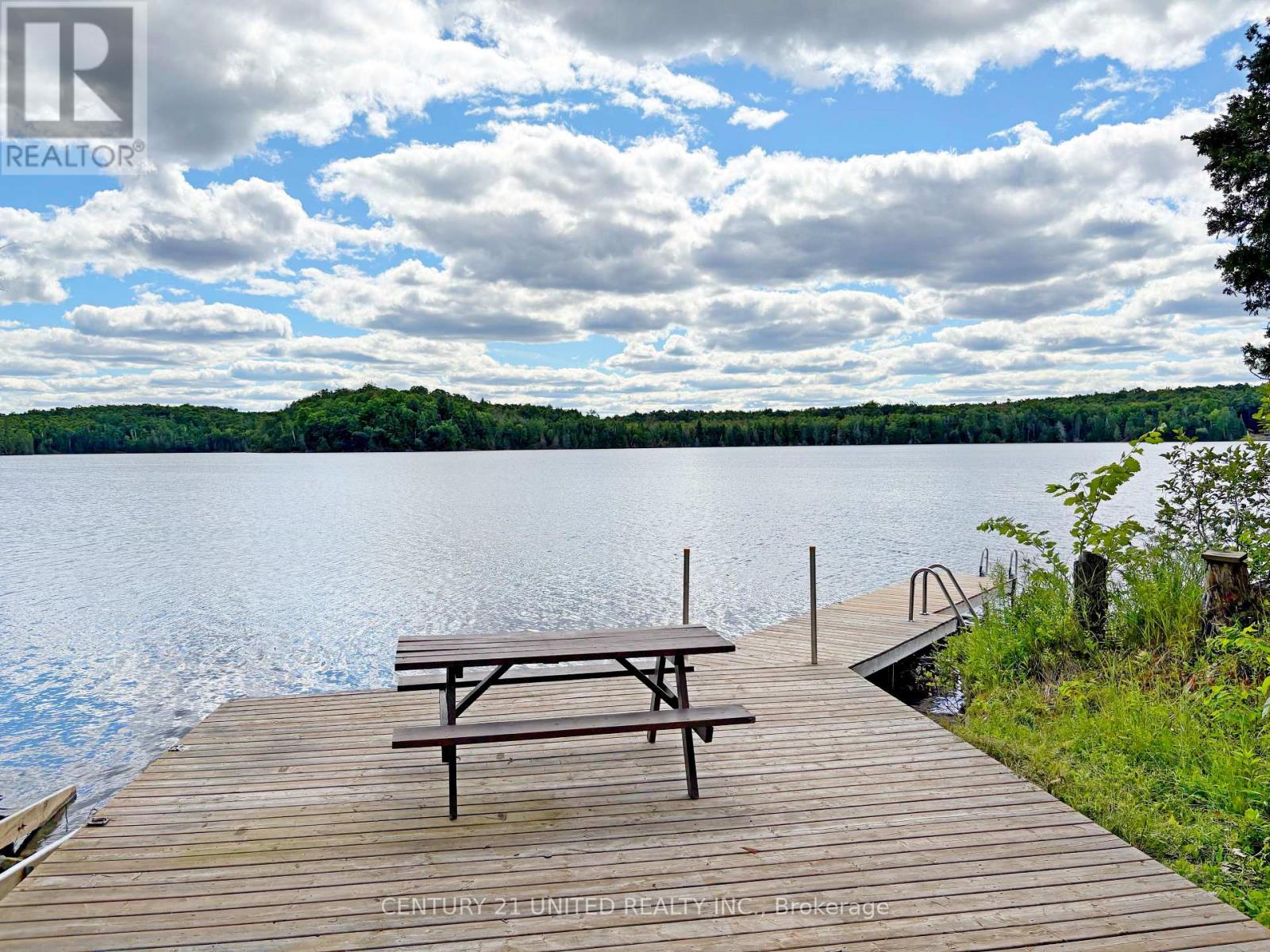 22 Fire Route 311, Trent Lakes, Ontario  K0L 1J0 - Photo 2 - X12311424