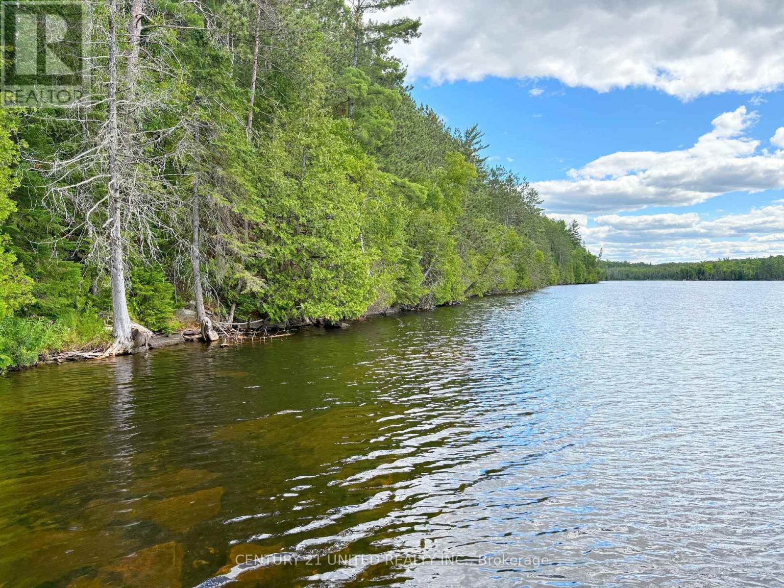 22 Fire Route 311, Trent Lakes, Ontario  K0L 1J0 - Photo 28 - X12311424