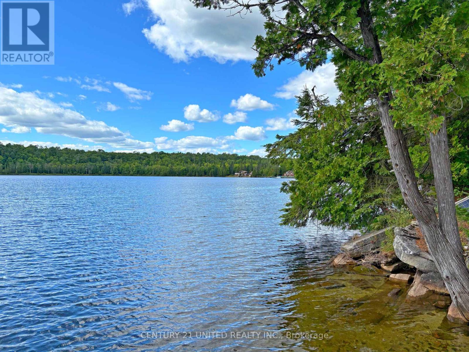 22 Fire Route 311, Trent Lakes, Ontario  K0L 1J0 - Photo 29 - X12311424