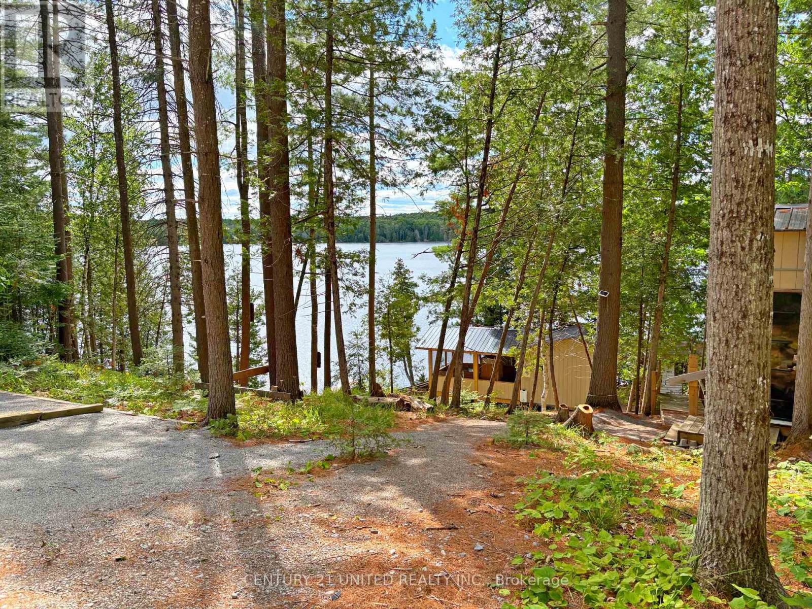 22 Fire Route 311, Trent Lakes, Ontario  K0L 1J0 - Photo 3 - X12311424