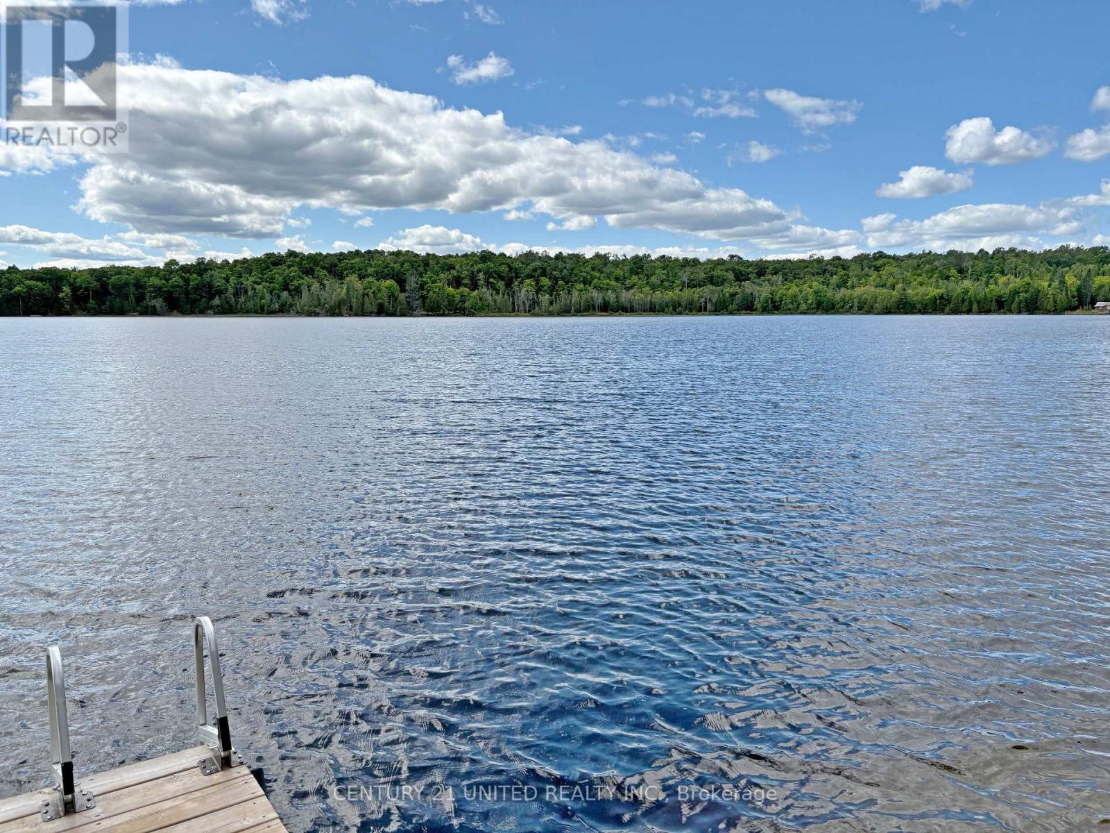22 Fire Route 311, Trent Lakes, Ontario  K0L 1J0 - Photo 30 - X12311424