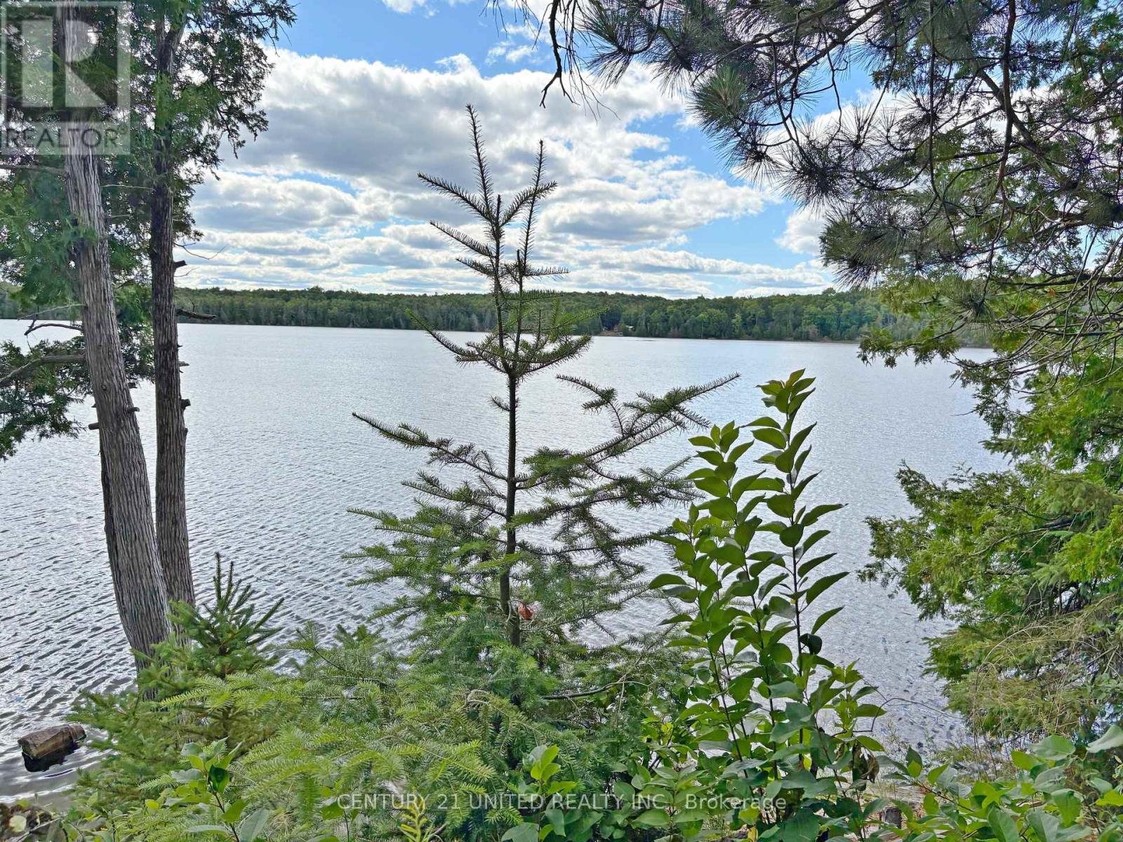22 Fire Route 311, Trent Lakes, Ontario  K0L 1J0 - Photo 31 - X12311424