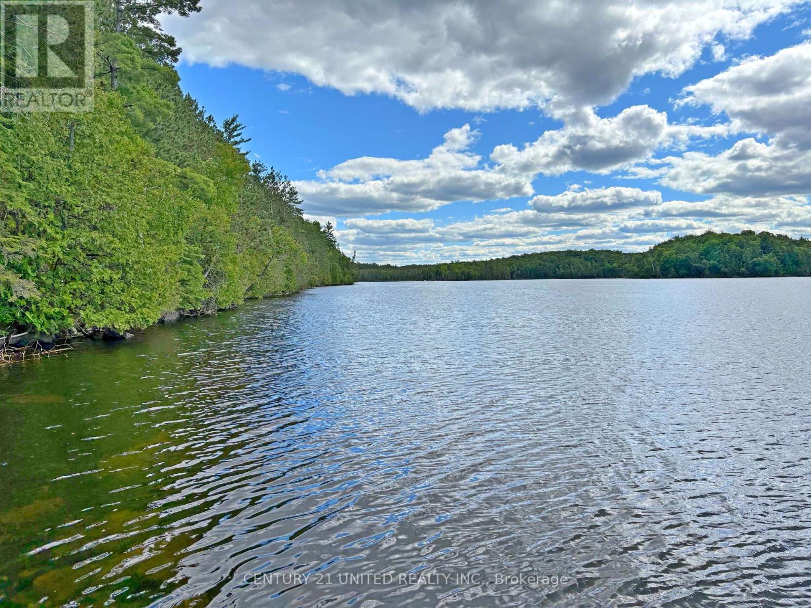 22 Fire Route 311, Trent Lakes, Ontario  K0L 1J0 - Photo 33 - X12311424