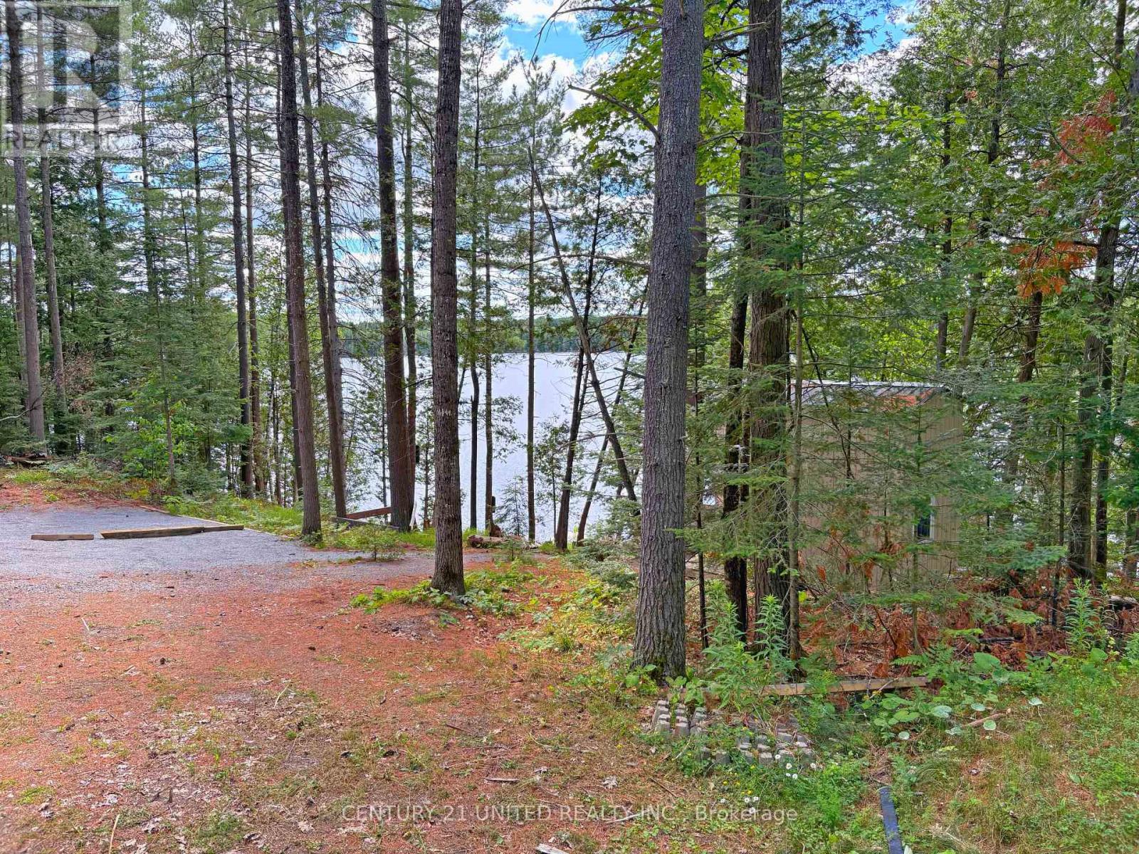 22 Fire Route 311, Trent Lakes, Ontario  K0L 1J0 - Photo 35 - X12311424