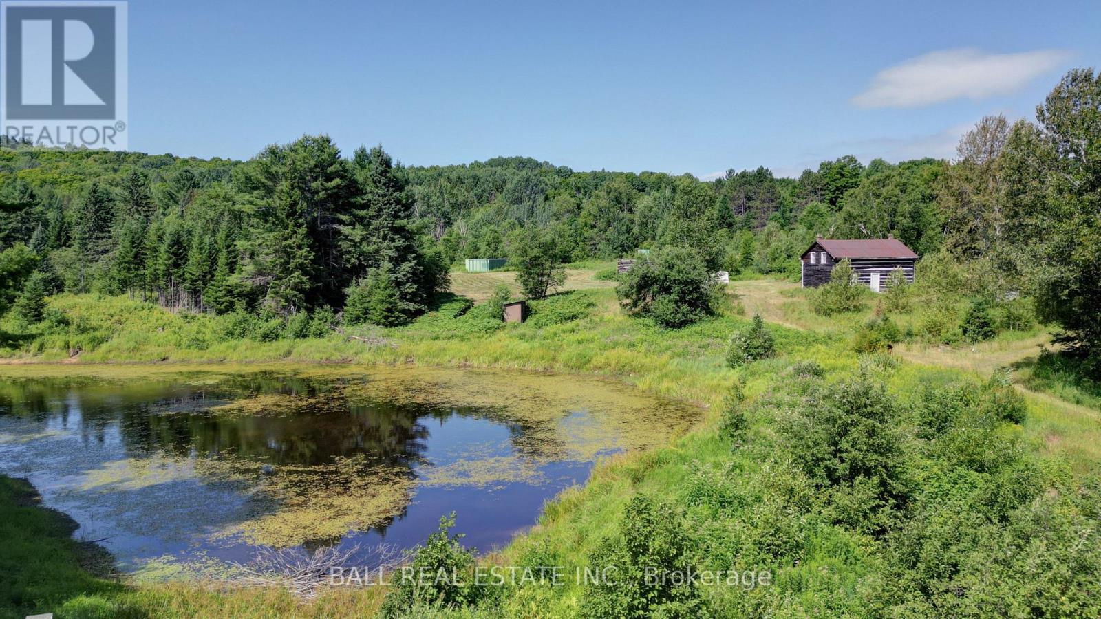 35956 Highway 62, Hastings Highlands (Bangor Ward), Ontario  K0L 2R0 - Photo 15 - X12311588