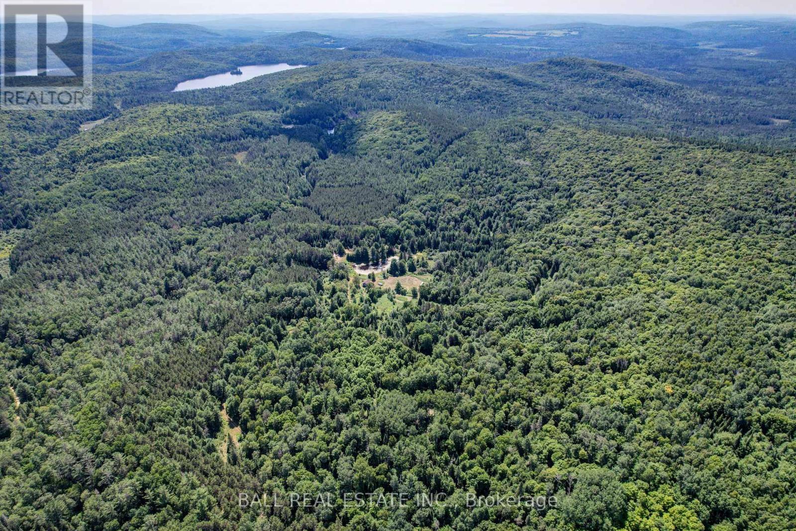 35956 Highway 62, Hastings Highlands (Bangor Ward), Ontario  K0L 2R0 - Photo 16 - X12311588