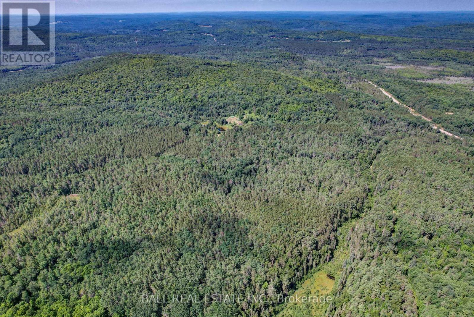 35956 Highway 62, Hastings Highlands (Bangor Ward), Ontario  K0L 2R0 - Photo 17 - X12311588