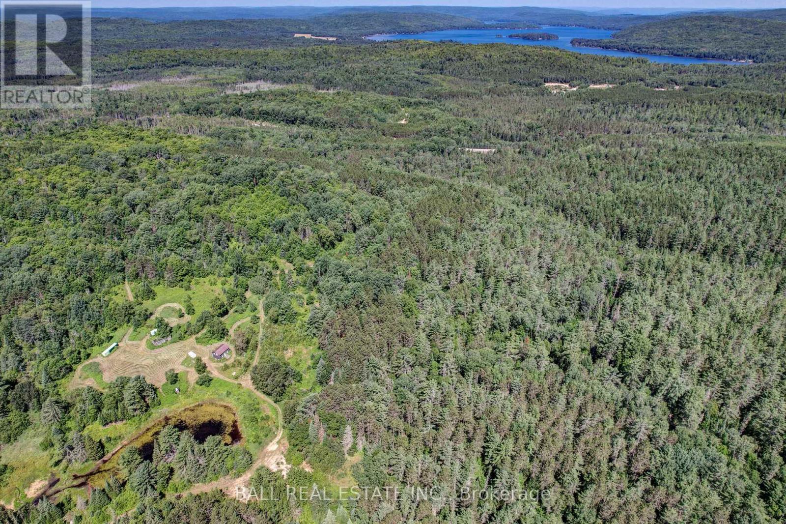 35956 Highway 62, Hastings Highlands (Bangor Ward), Ontario  K0L 2R0 - Photo 18 - X12311588