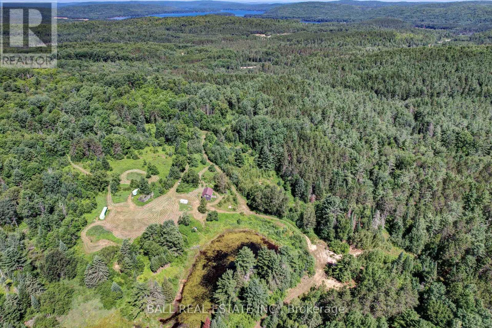35956 Highway 62, Hastings Highlands (Bangor Ward), Ontario  K0L 2R0 - Photo 19 - X12311588