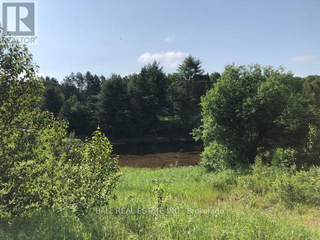 35956 Highway 62, Hastings Highlands (Bangor Ward), Ontario  K0L 2R0 - Photo 2 - X12311588
