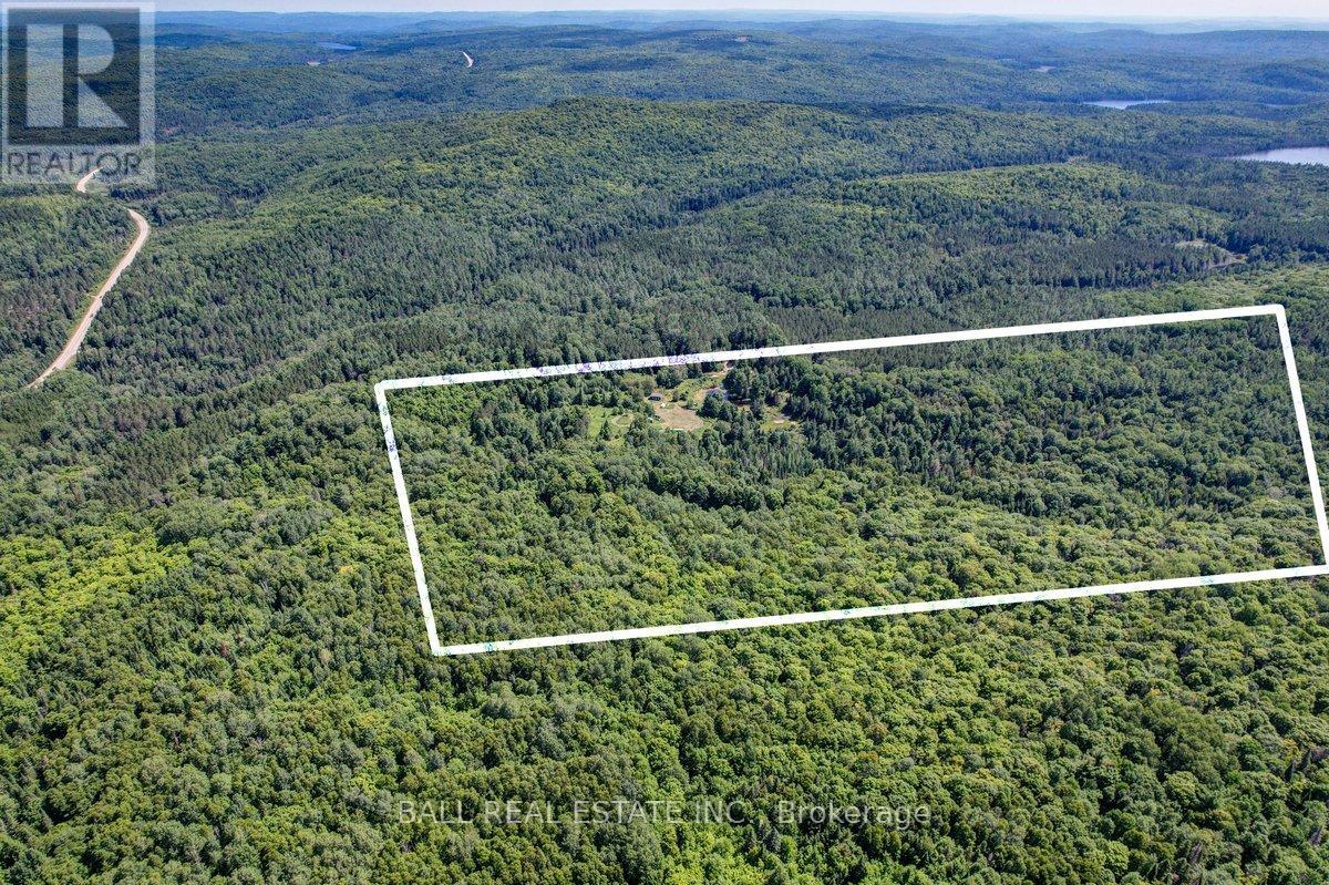 35956 Highway 62, Hastings Highlands (Bangor Ward), Ontario  K0L 2R0 - Photo 20 - X12311588