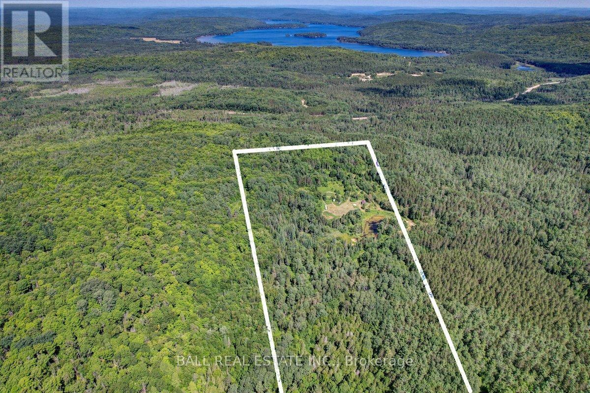 35956 Highway 62, Hastings Highlands (Bangor Ward), Ontario  K0L 2R0 - Photo 23 - X12311588