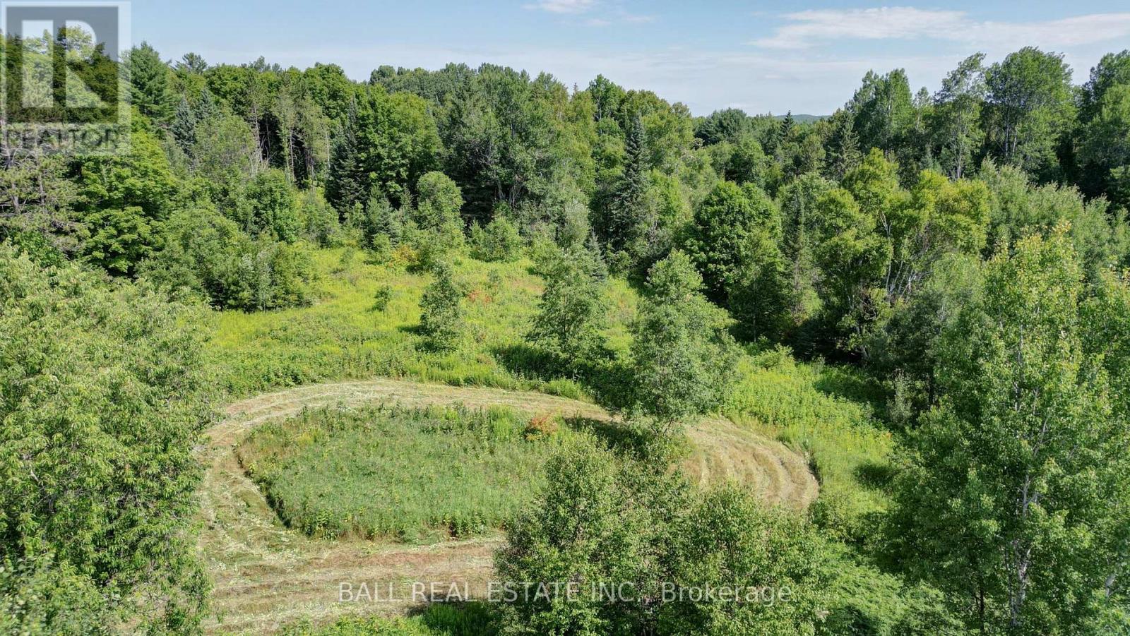 35956 Highway 62, Hastings Highlands (Bangor Ward), Ontario  K0L 2R0 - Photo 7 - X12311588