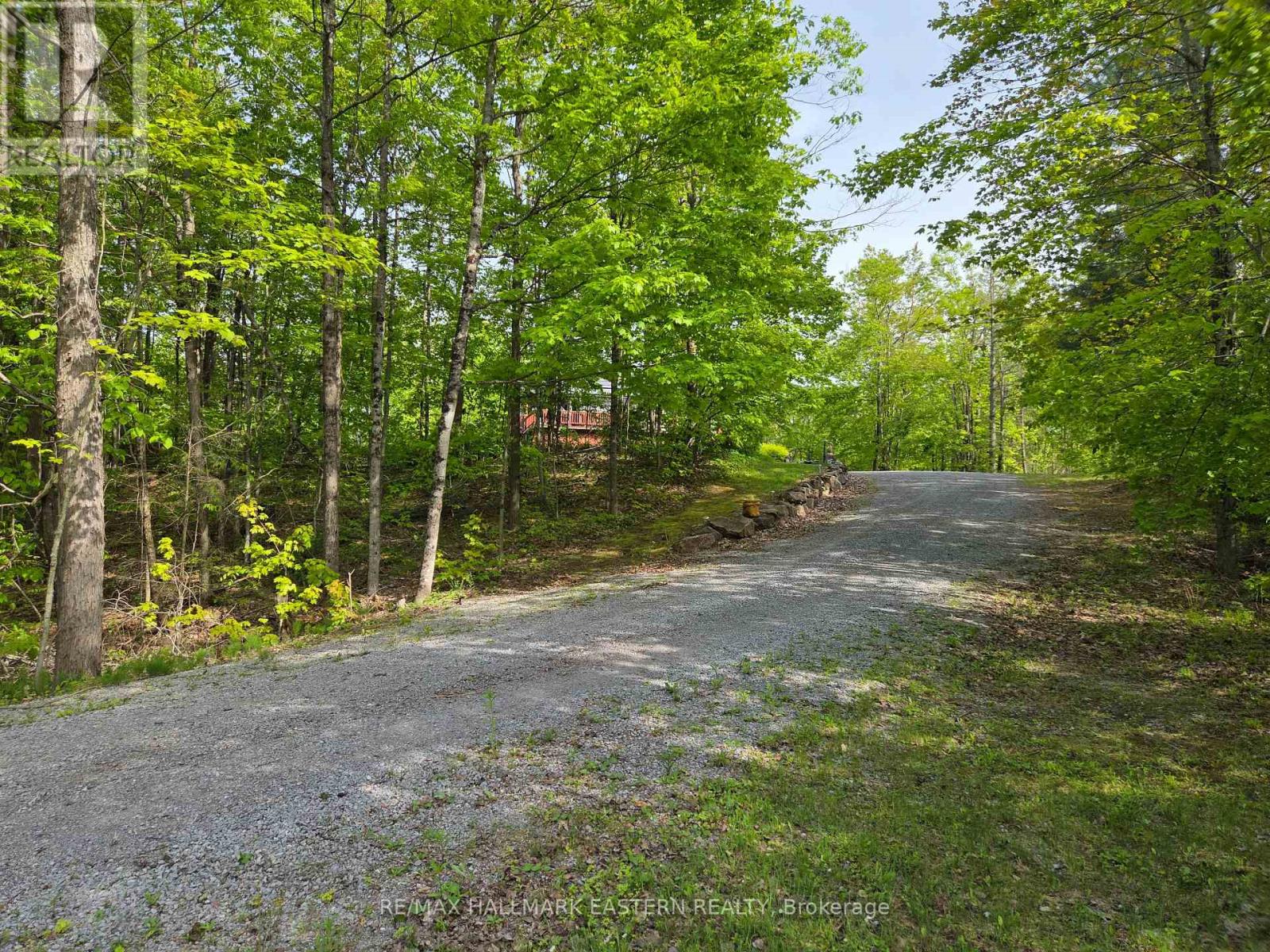 4018 County Road 36, Trent Lakes, Ontario  K0L 1J0 - Photo 37 - X12311875
