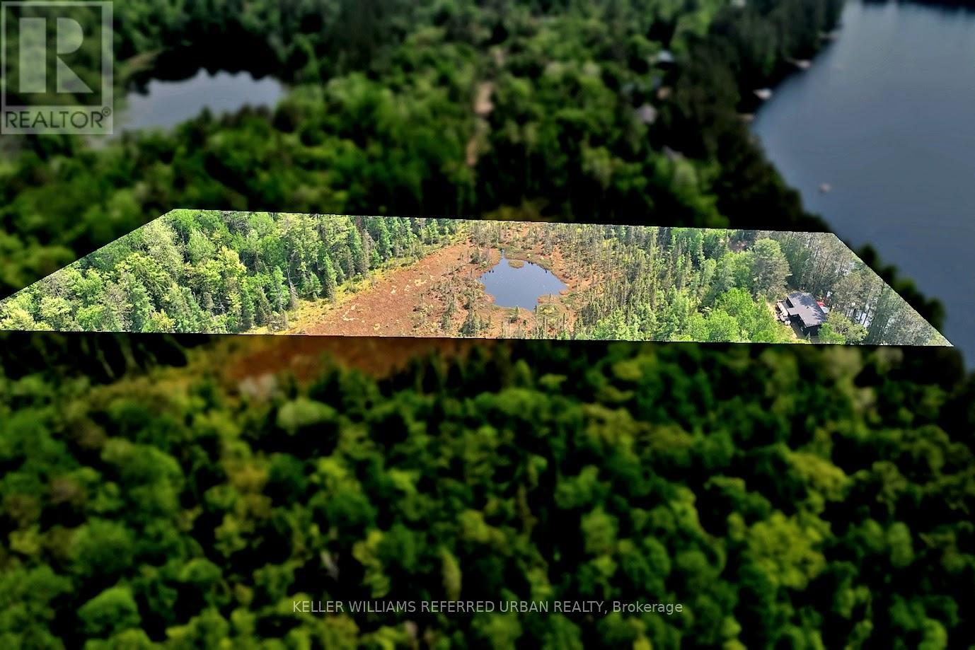 73 Ida Ho Lane, Faraday, Ontario  K0L 1C0 - Photo 39 - X12312847