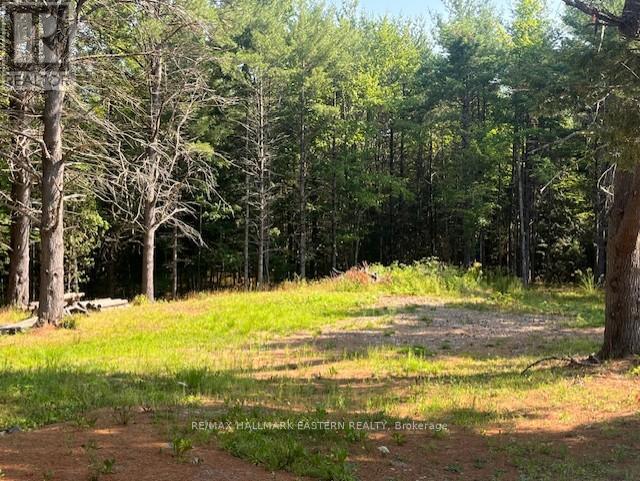 942 Balmer Road, North Kawartha, Ontario  K0L 1A0 - Photo 10 - X12313215