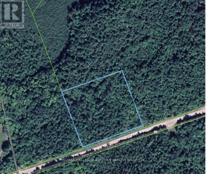 942 Balmer Road, North Kawartha, Ontario  K0L 1A0 - Photo 11 - X12313215