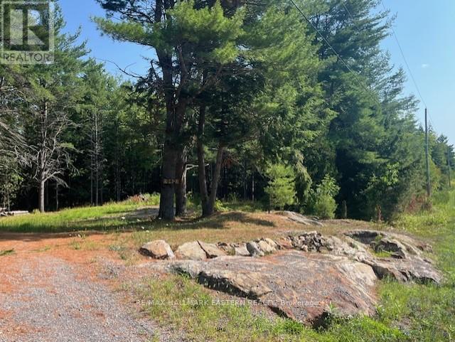 942 Balmer Road, North Kawartha, Ontario  K0L 1A0 - Photo 2 - X12313215