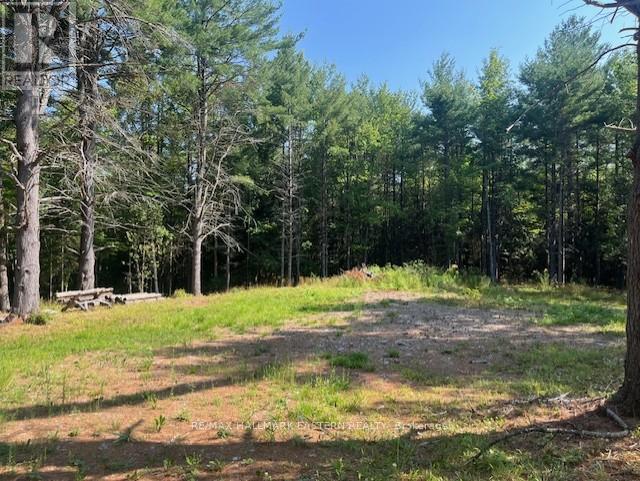 942 Balmer Road, North Kawartha, Ontario  K0L 1A0 - Photo 4 - X12313215