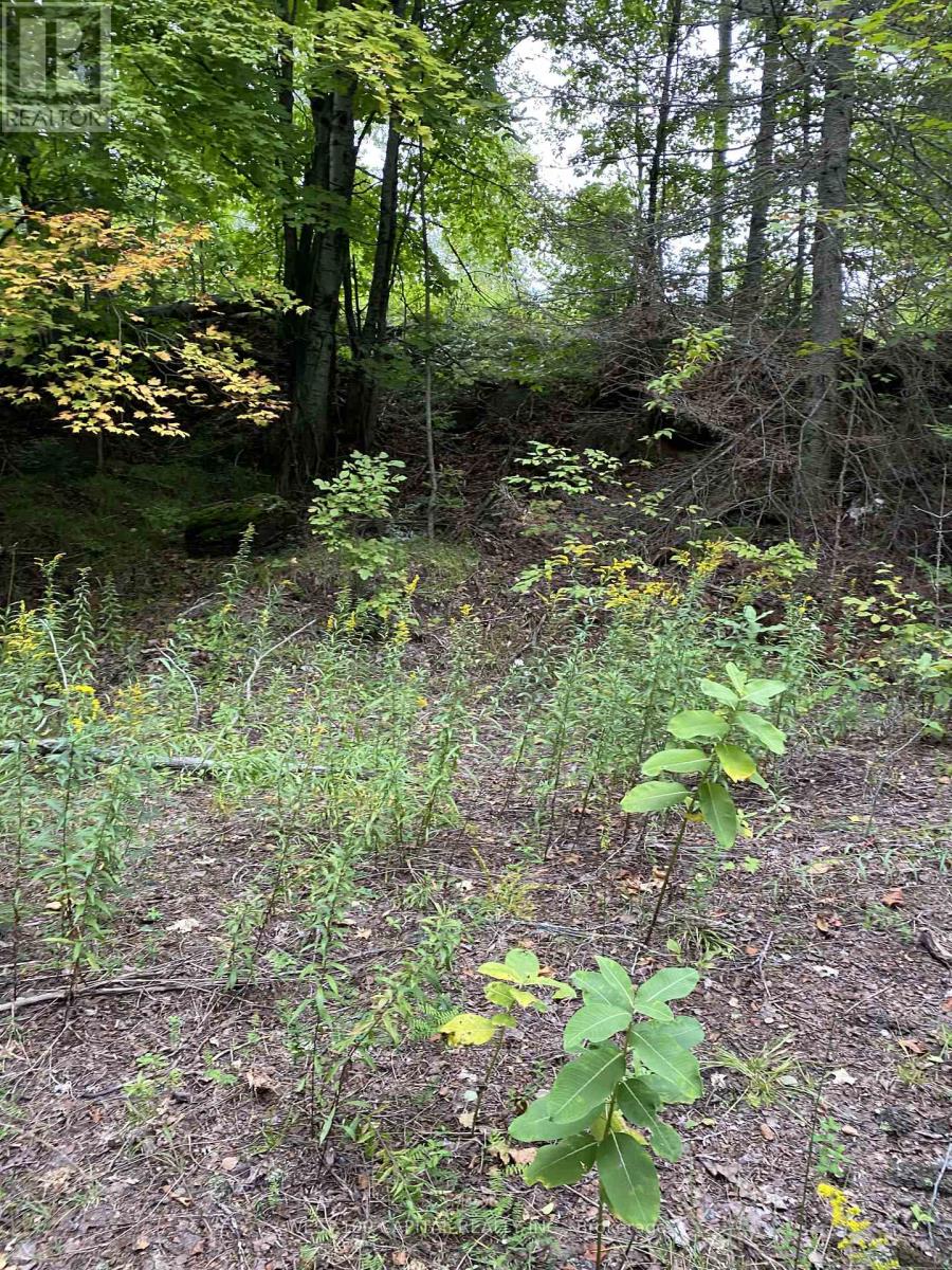 N/a Hwy 620, Wollaston, Ontario  K0L 1P0 - Photo 2 - X12313301