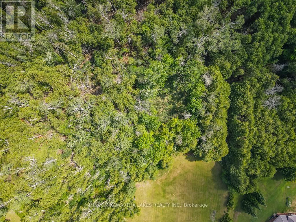 193 Sixth Line E, Otonabee-South Monaghan, Ontario  K9J 6Y3 - Photo 2 - X12315202