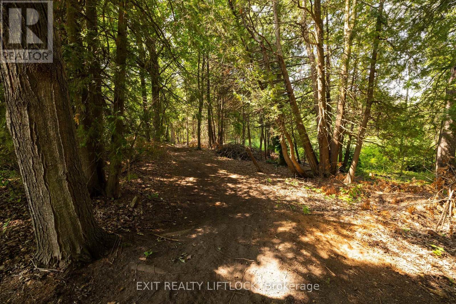 1430 Drysdale Road, Asphodel-Norwood, Ontario  K0L 2V0 - Photo 25 - X12316722