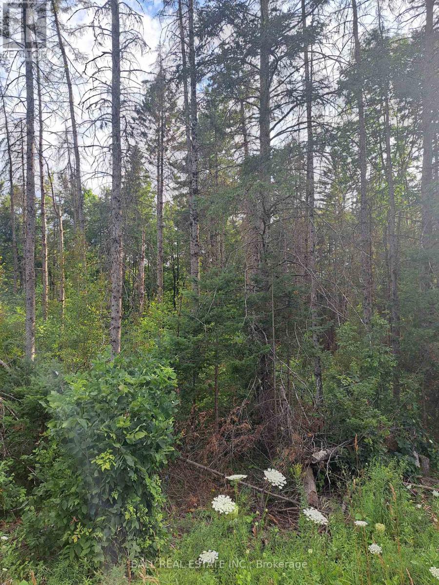 0 Cordova Road, Marmora And Lake (Marmora Ward), Ontario  K0L 2M0 - Photo 2 - X12319487