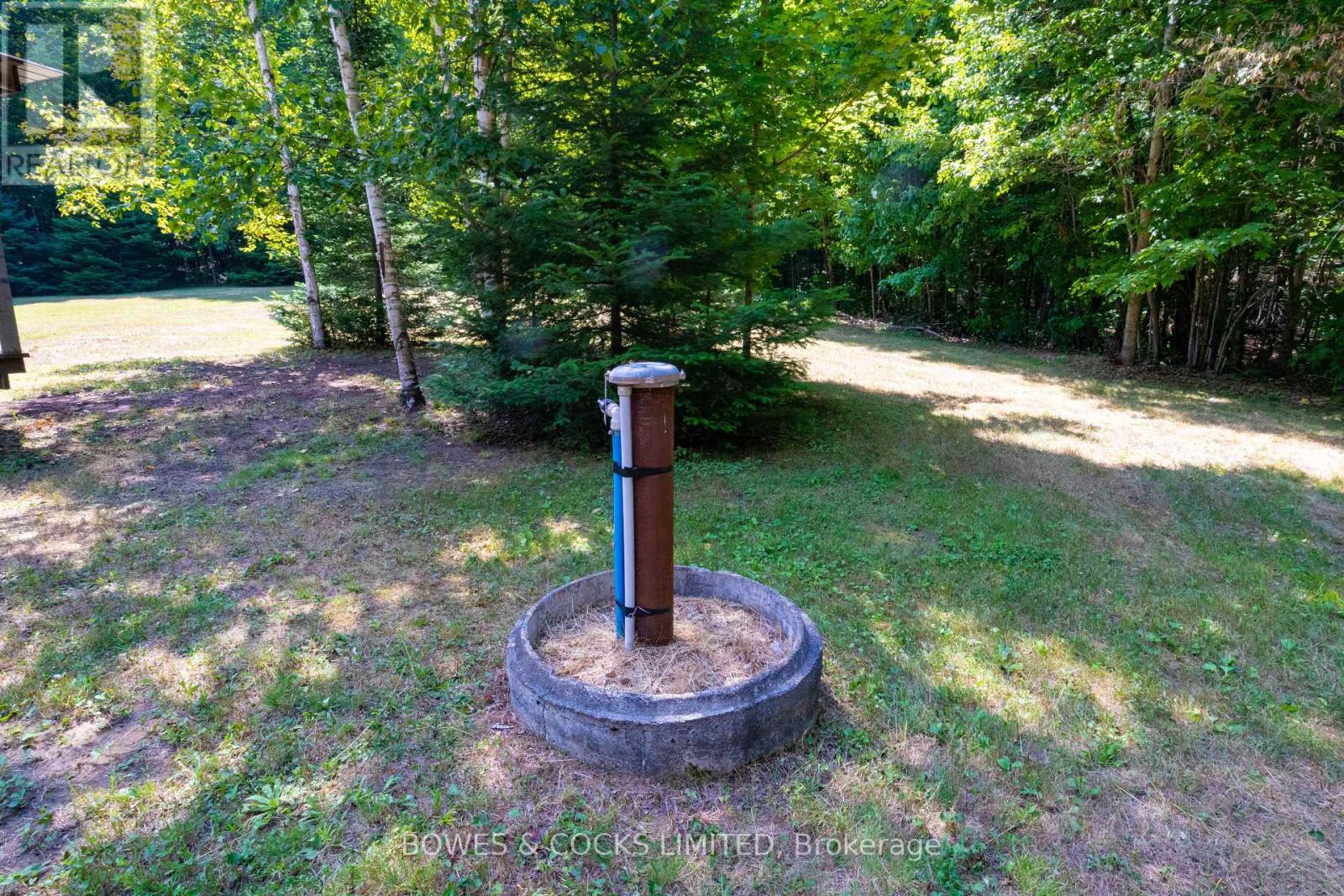 12916 Highway 28, North Kawartha, Ontario  K0L 1A0 - Photo 6 - X12320091