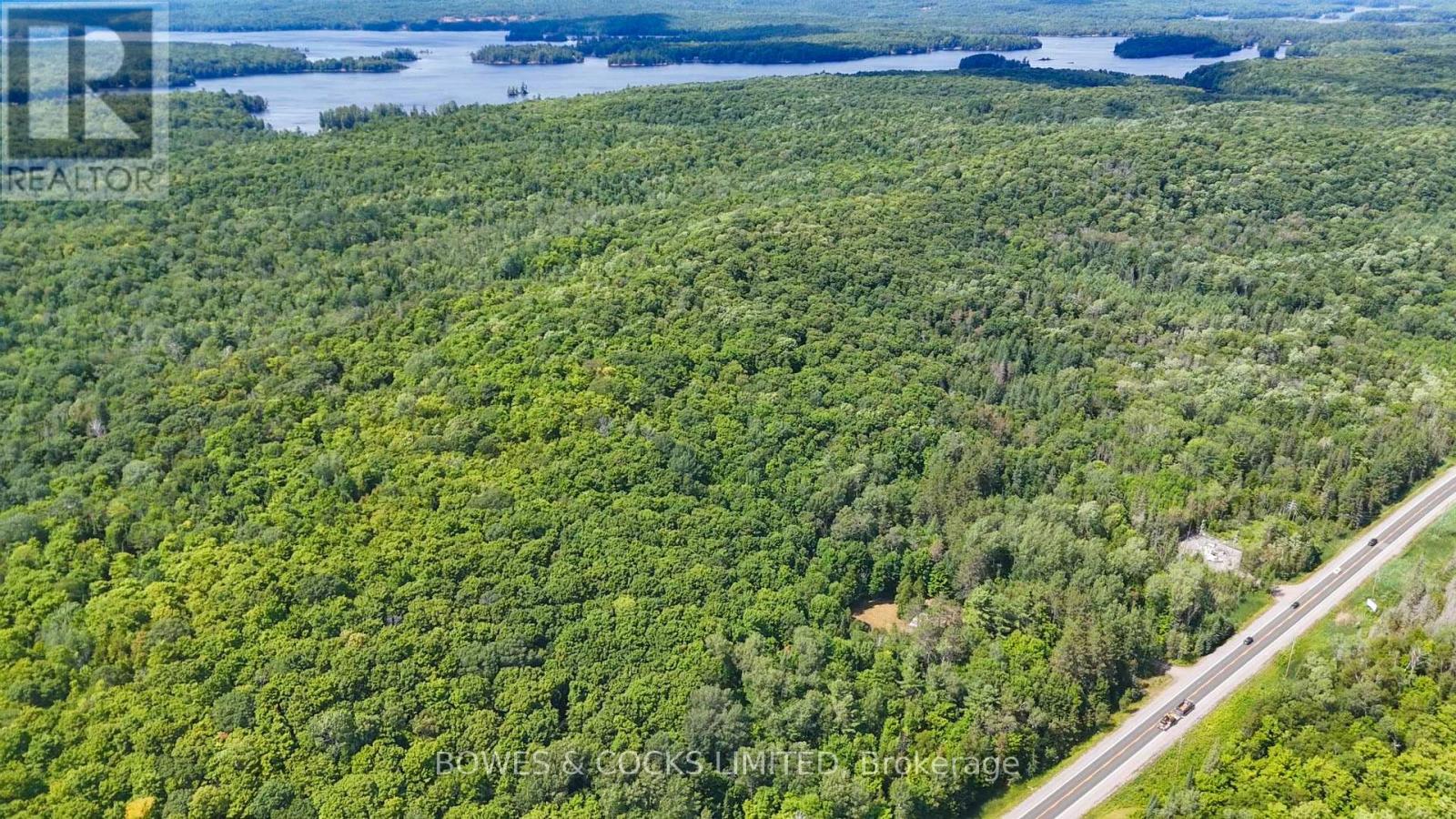 12916 Highway 28, North Kawartha, Ontario  K0L 1A0 - Photo 8 - X12320091