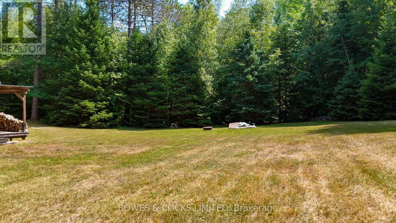 12916 Highway 28, North Kawartha, Ontario  K0L 1A0 - Photo 9 - X12320091