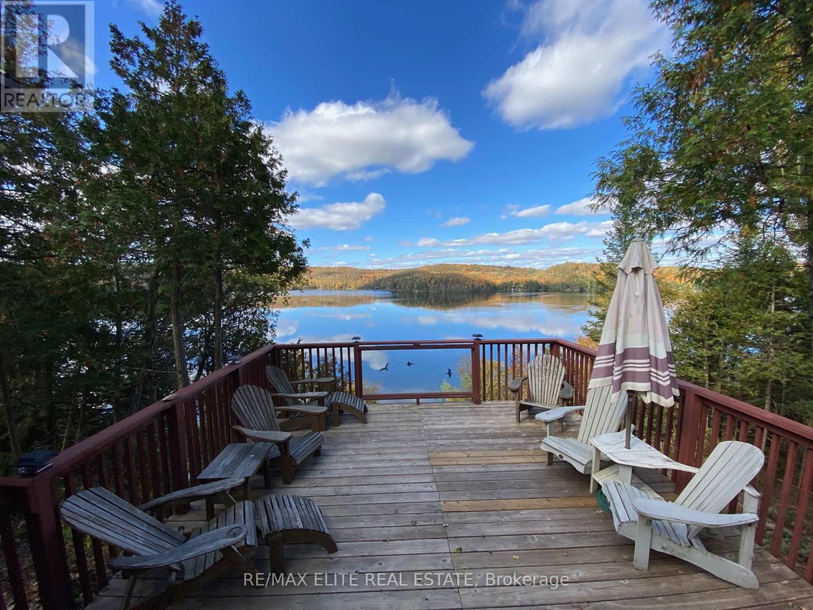 376 Faradale Court, Faraday, Ontario  K0L 1C0 - Photo 2 - X12322981