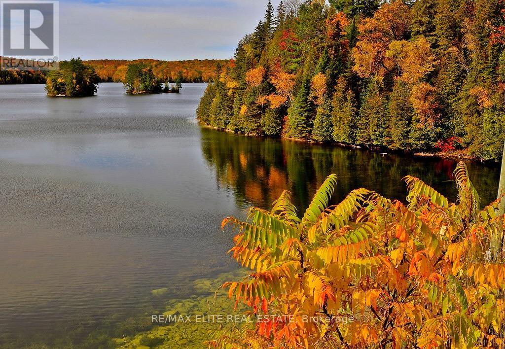 376 Faradale Court, Faraday, Ontario  K0L 1C0 - Photo 44 - X12322981