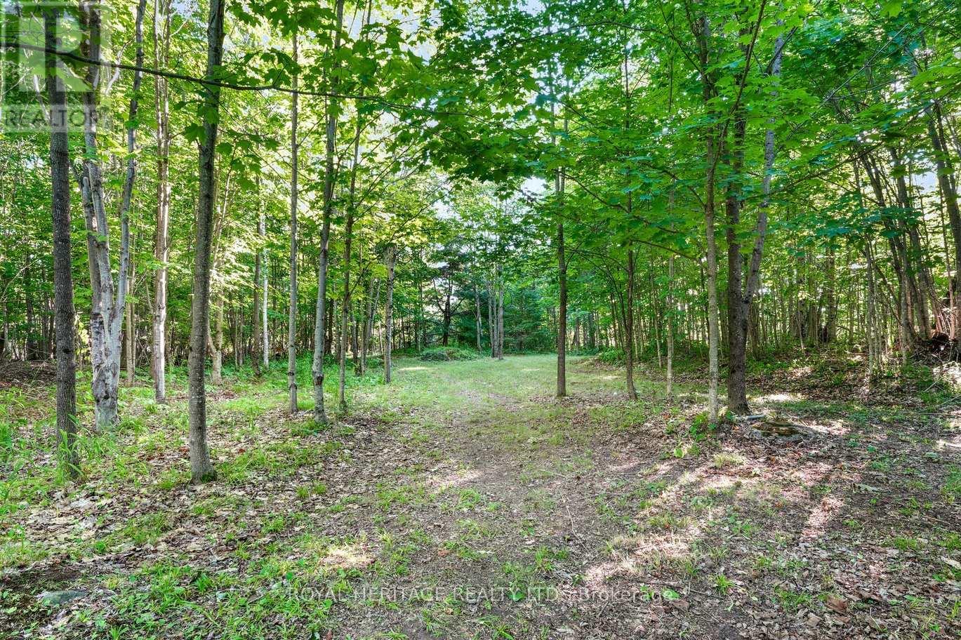 72 Island View Drive, Marmora And Lake (Marmora Ward), Ontario  K0L 1W0 - Photo 17 - X12323586