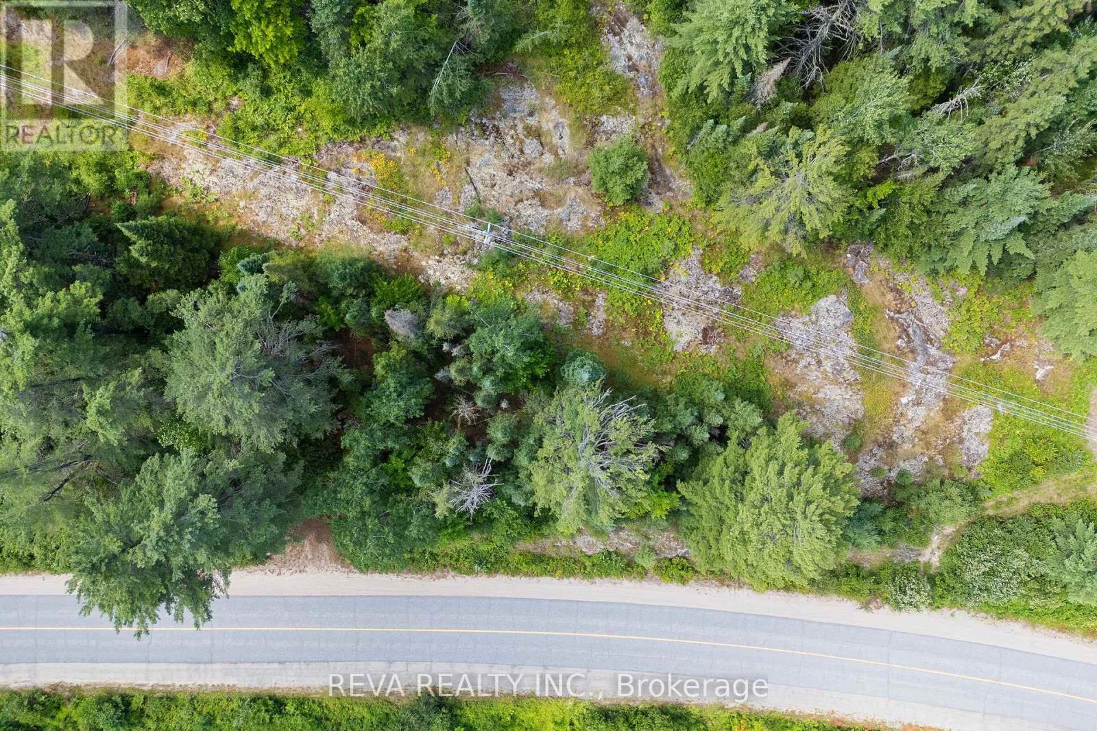 0 Peterson Road, Hastings Highlands (Herschel Ward), Ontario  K0L 2S0 - Photo 4 - X12324032