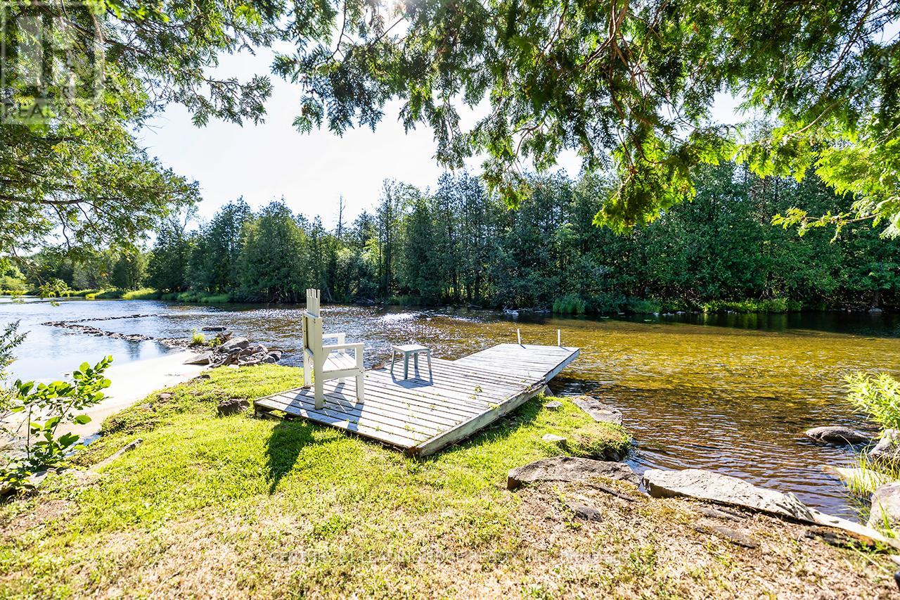 529 Sawmill Road, Douro-Dummer, Ontario  K0L 2H0 - Photo 45 - X12324289