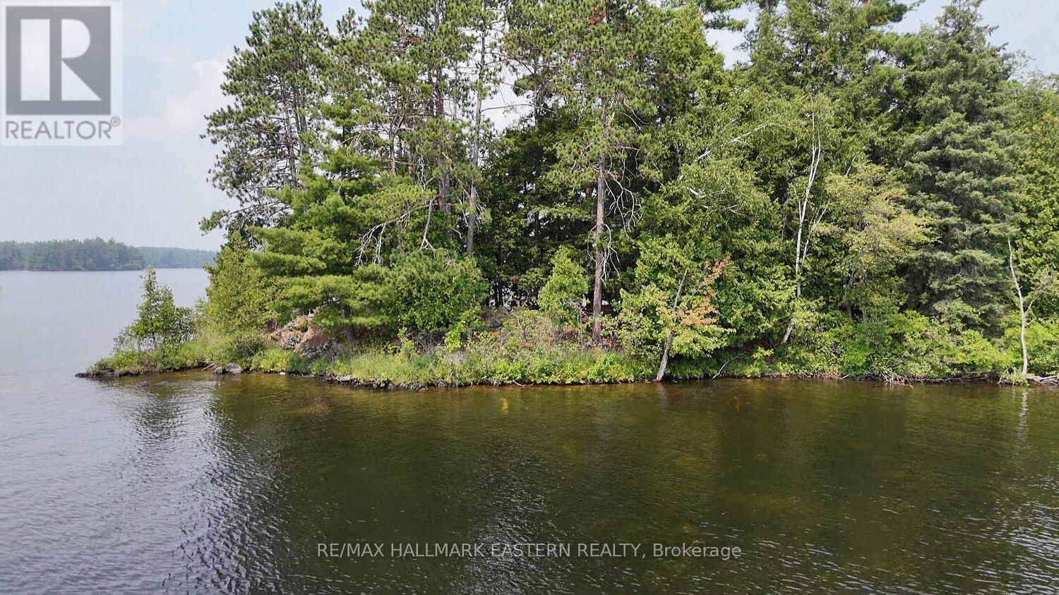 160 Fire Route 12, Havelock-Belmont-Methuen (Belmont-Methuen), Ontario  K0L 1Z0 - Photo 12 - X12325026