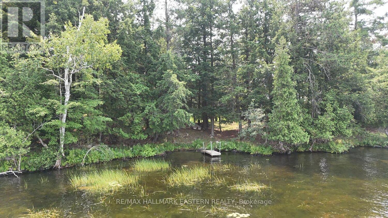 160 Fire Route 12, Havelock-Belmont-Methuen (Belmont-Methuen), Ontario  K0L 1Z0 - Photo 14 - X12325026