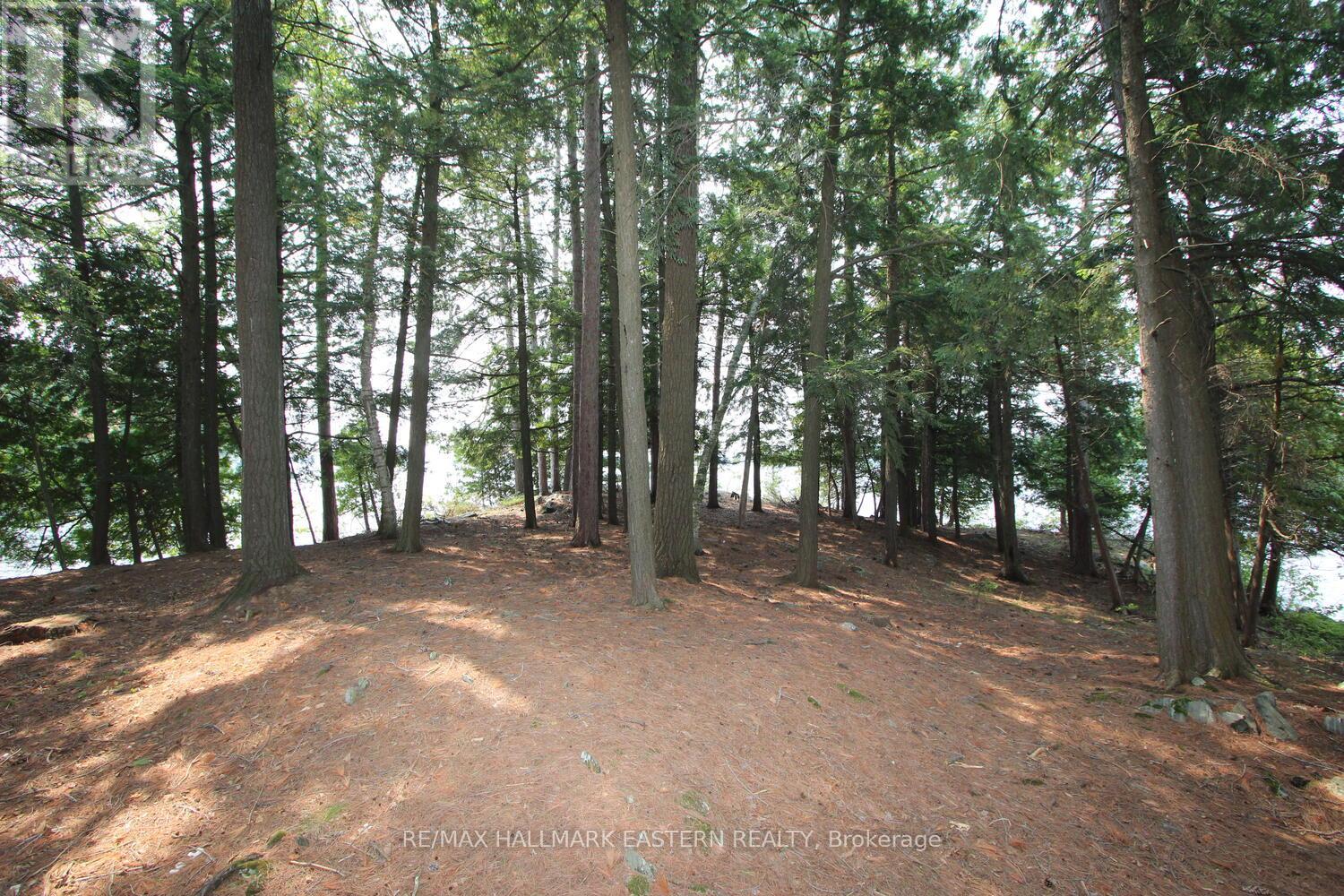 160 Fire Route 12, Havelock-Belmont-Methuen (Belmont-Methuen), Ontario  K0L 1Z0 - Photo 18 - X12325026