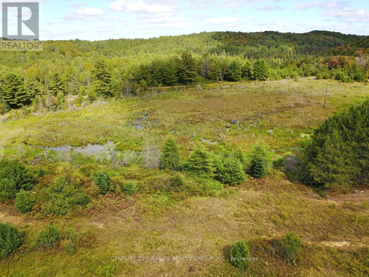 Ptlt 47 Highway 62 S, Bancroft (Dungannon Ward), Ontario  K0L 1C0 - Photo 18 - X12325416