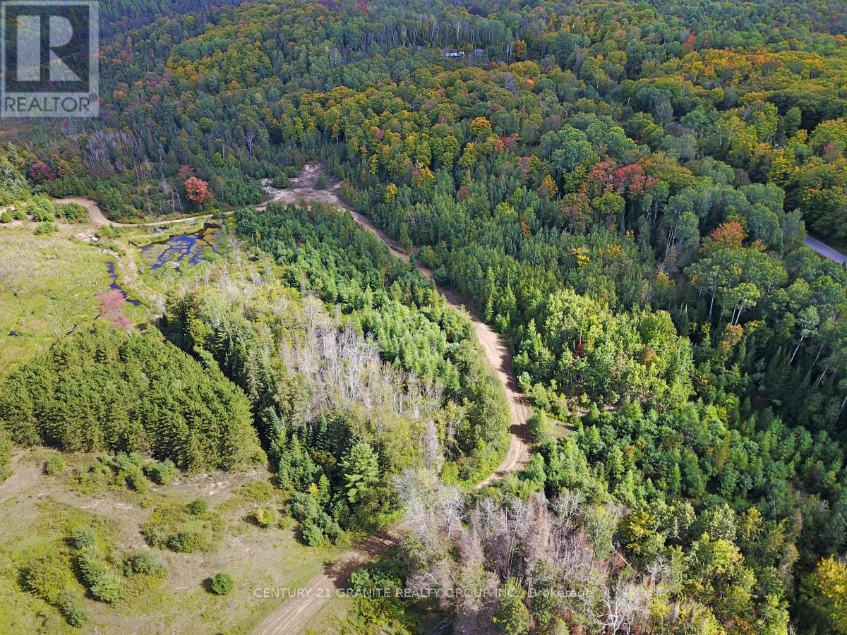 Ptlt 47 Highway 62 S, Bancroft (Dungannon Ward), Ontario  K0L 1C0 - Photo 8 - X12325416