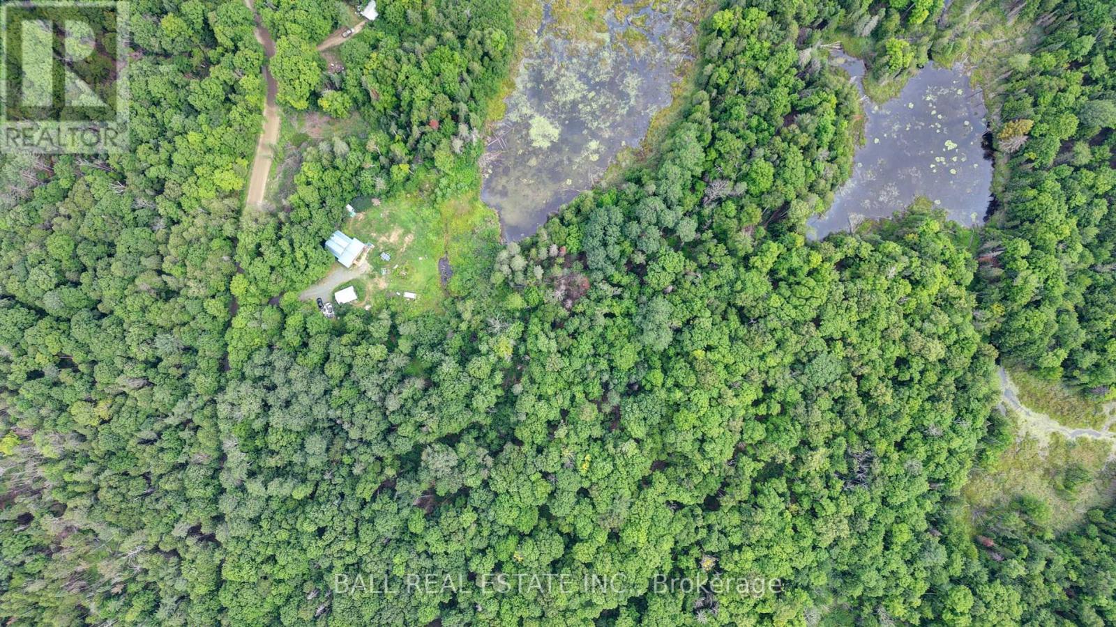 1156 St Ola Road, Limerick, Ontario  K0L 1W0 - Photo 26 - X12325631