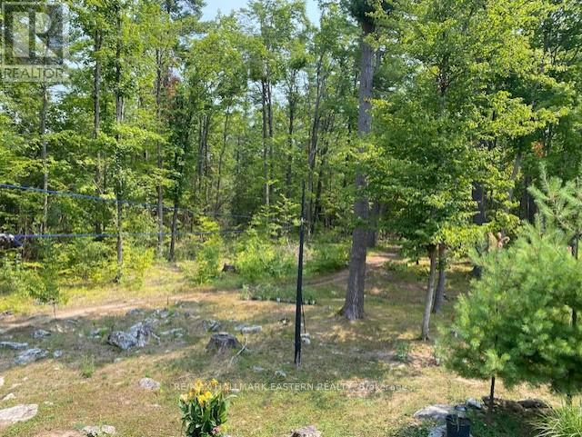 39 Buckhorn Narrows Road, Trent Lakes, Ontario  K0L 1J0 - Photo 19 - X12325696