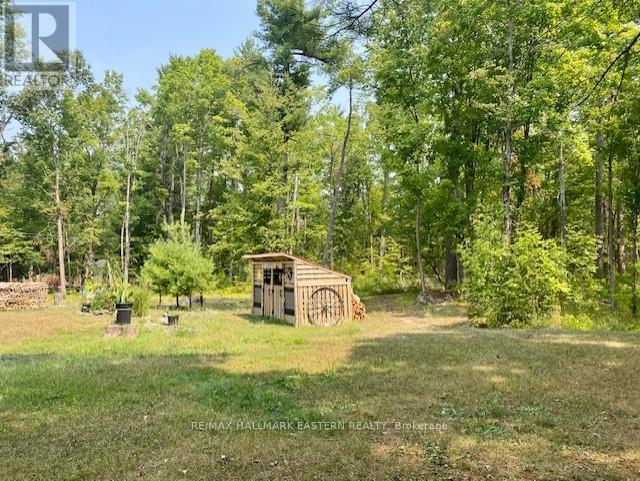 39 Buckhorn Narrows Road, Trent Lakes, Ontario  K0L 1J0 - Photo 20 - X12325696