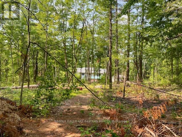 39 Buckhorn Narrows Road, Trent Lakes, Ontario  K0L 1J0 - Photo 21 - X12325696