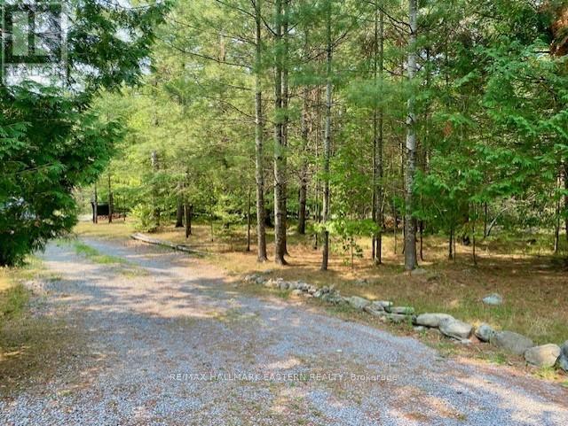 39 Buckhorn Narrows Road, Trent Lakes, Ontario  K0L 1J0 - Photo 22 - X12325696