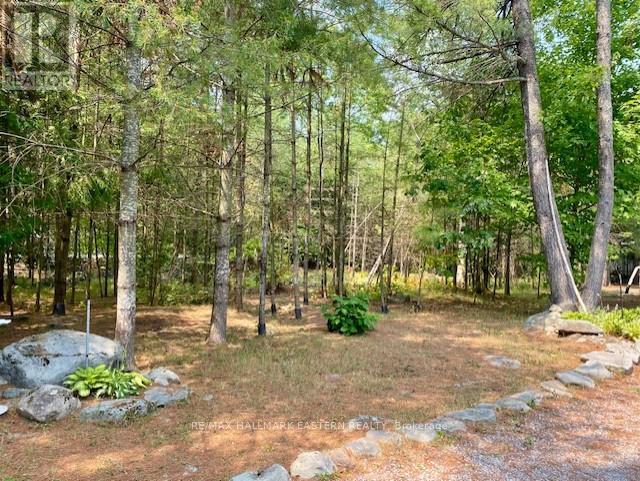 39 Buckhorn Narrows Road, Trent Lakes, Ontario  K0L 1J0 - Photo 23 - X12325696